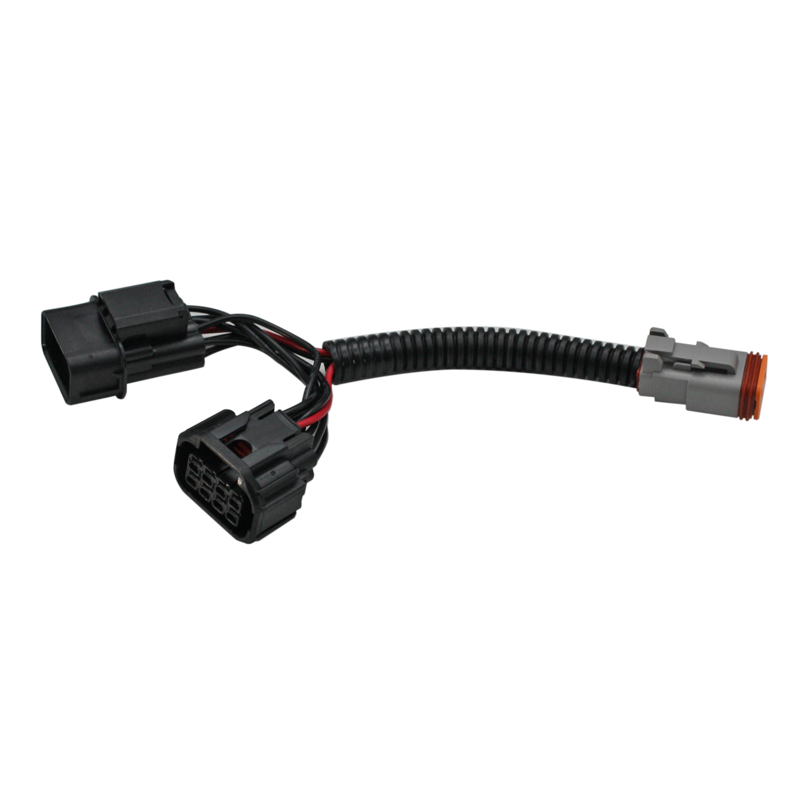 Ignite Headlight Patch Harness  Isuzu D-Max RG 05/2024 Onwards