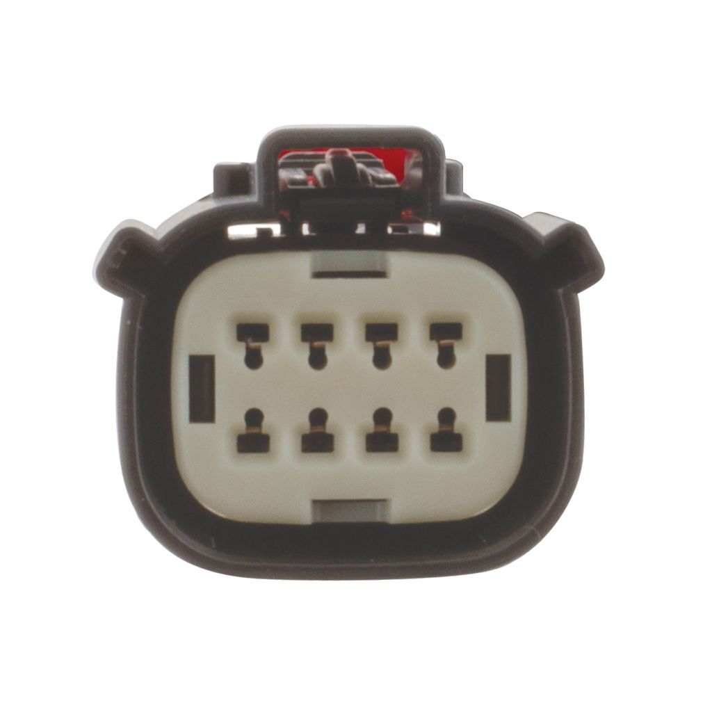 Ignite Headlight Patch Harness Ford Ranger PX1 PX2 PX3 and Mazda BT-50 2006 - 2020